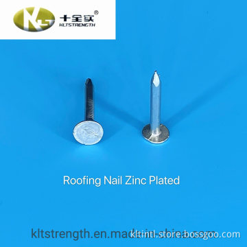 Electro Galvanized Roofing Nails with Big Head
